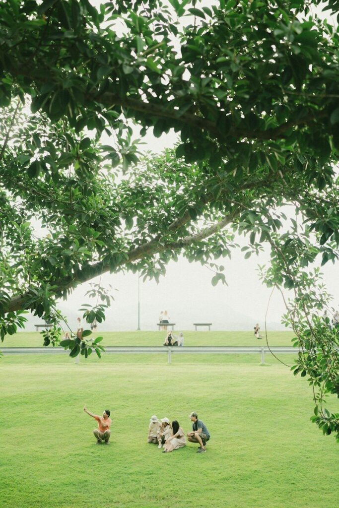 People and dogs relax on a grassy field under trees